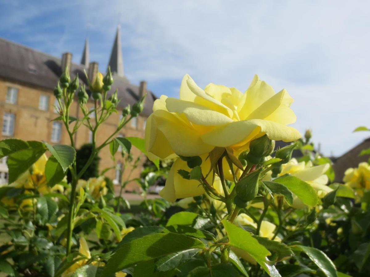 Gite La Volette Moulins-Saint-Hubert Екстер'єр фото