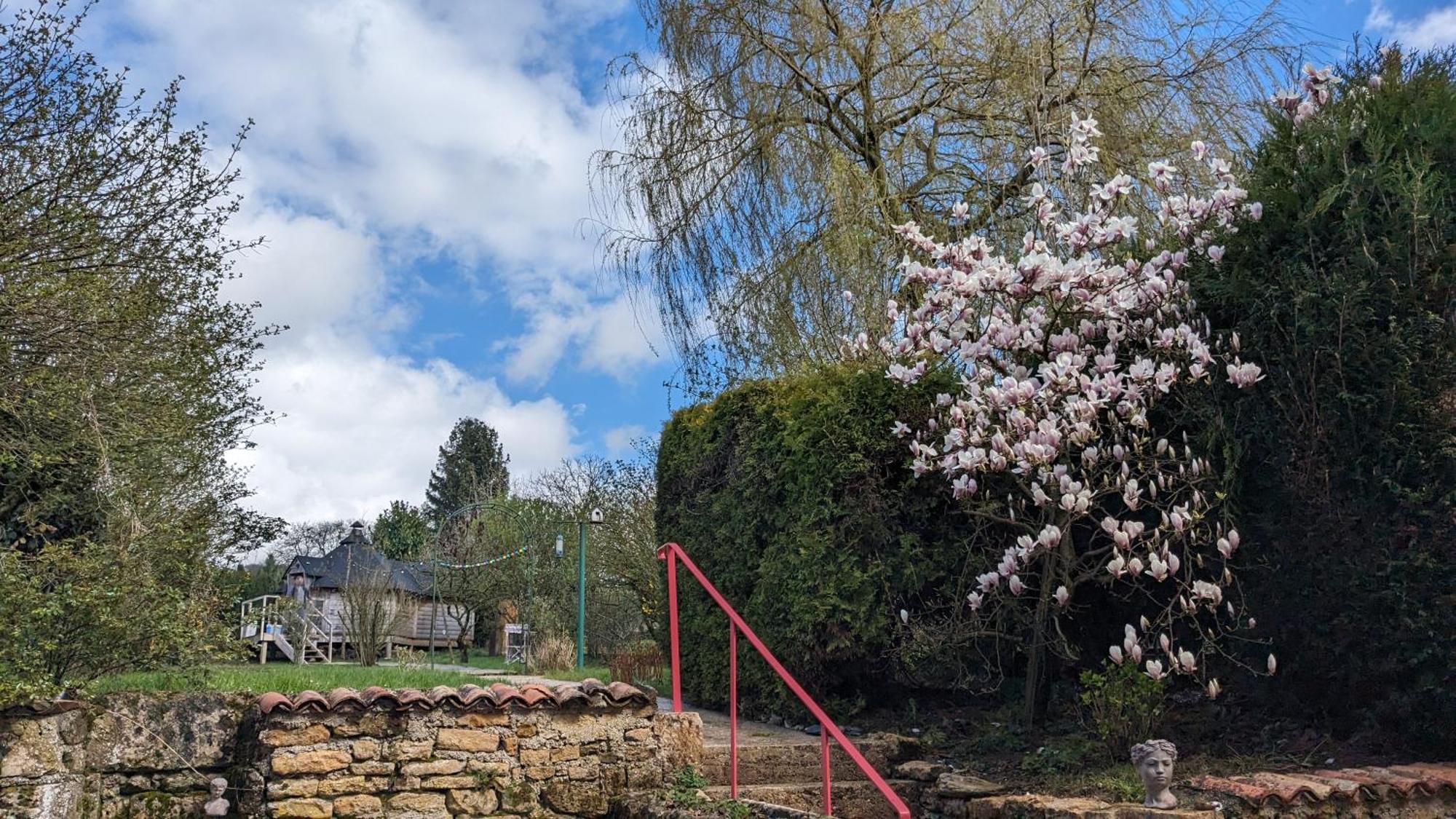 Gite La Volette Moulins-Saint-Hubert Екстер'єр фото